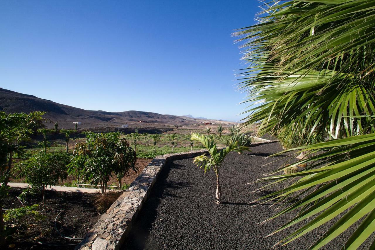 Finca Arbequina Pajara  Exterior photo